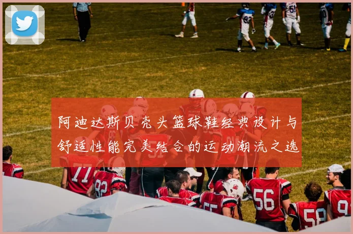 阿迪达斯贝壳头篮球鞋经典设计与舒适性能完美结合的运动潮流之选